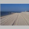 CruisinCoast2008_096.jpg