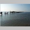 CruisinCoast2008_097.jpg