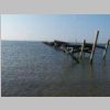 CruisinCoast2008_101.jpg