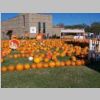 PumpkinPatch2008_065.jpg