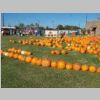 PumpkinPatch2008_066.jpg