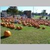 PumpkinPatch2008_072.jpg