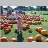 PumpkinPatch2008_073.jpg