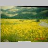 SomewhereInColorado45.JPG